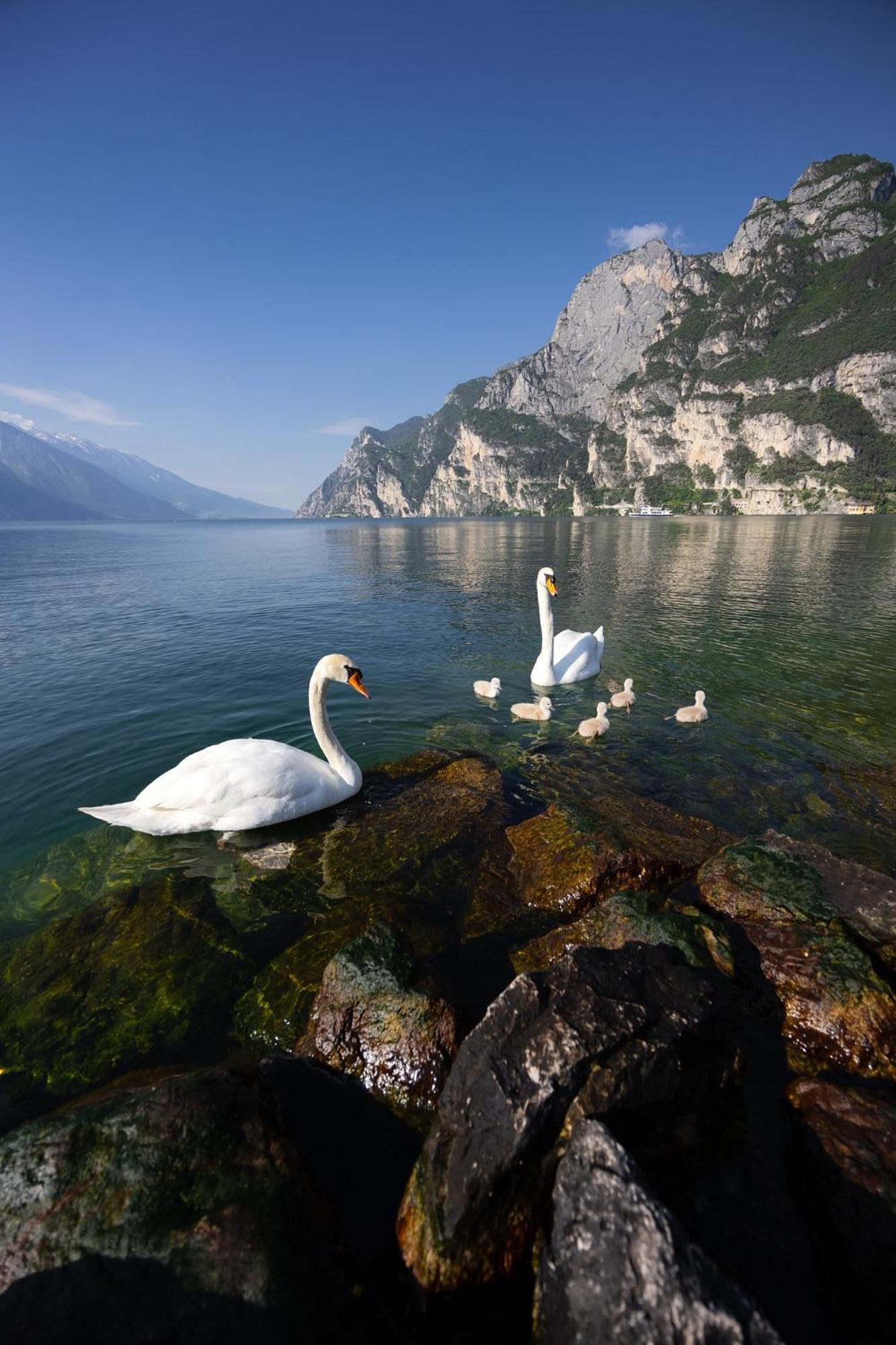 Appartamento Laura Riva del Garda Exteriér fotografie